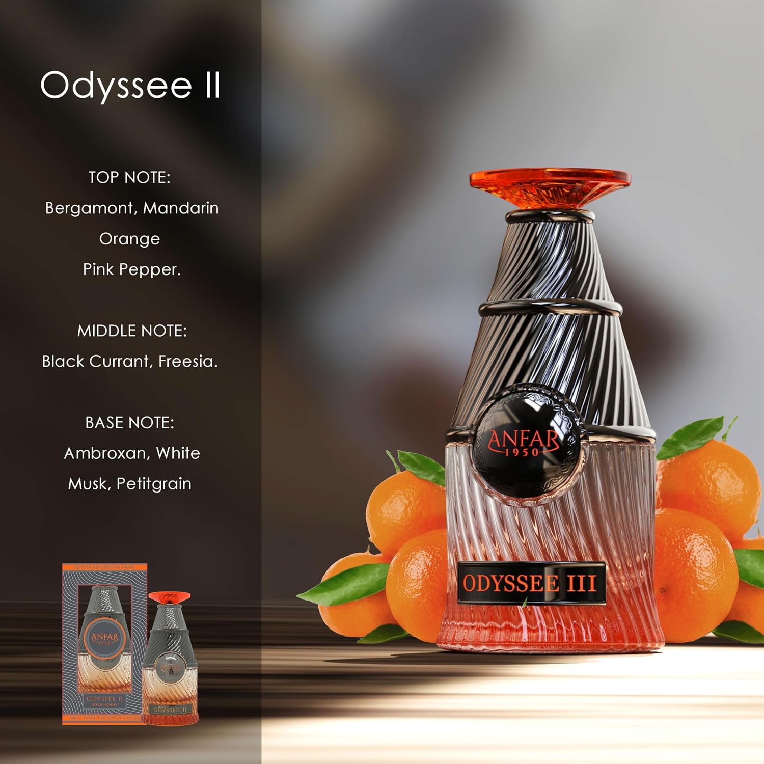 ANFAR 1950 ODYSSEE II - Image 3