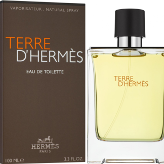 Hermès Terre d'Hermès Eau de Toilette 100 ml